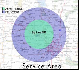 Service Area around Big Lake, Minnesota