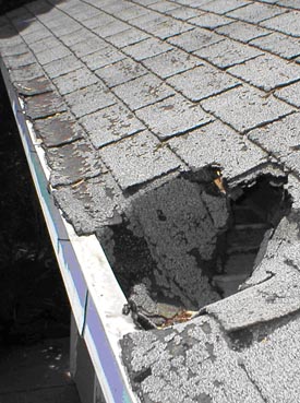Damage Repair