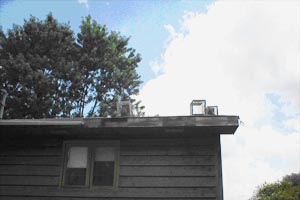 Humane Trapping